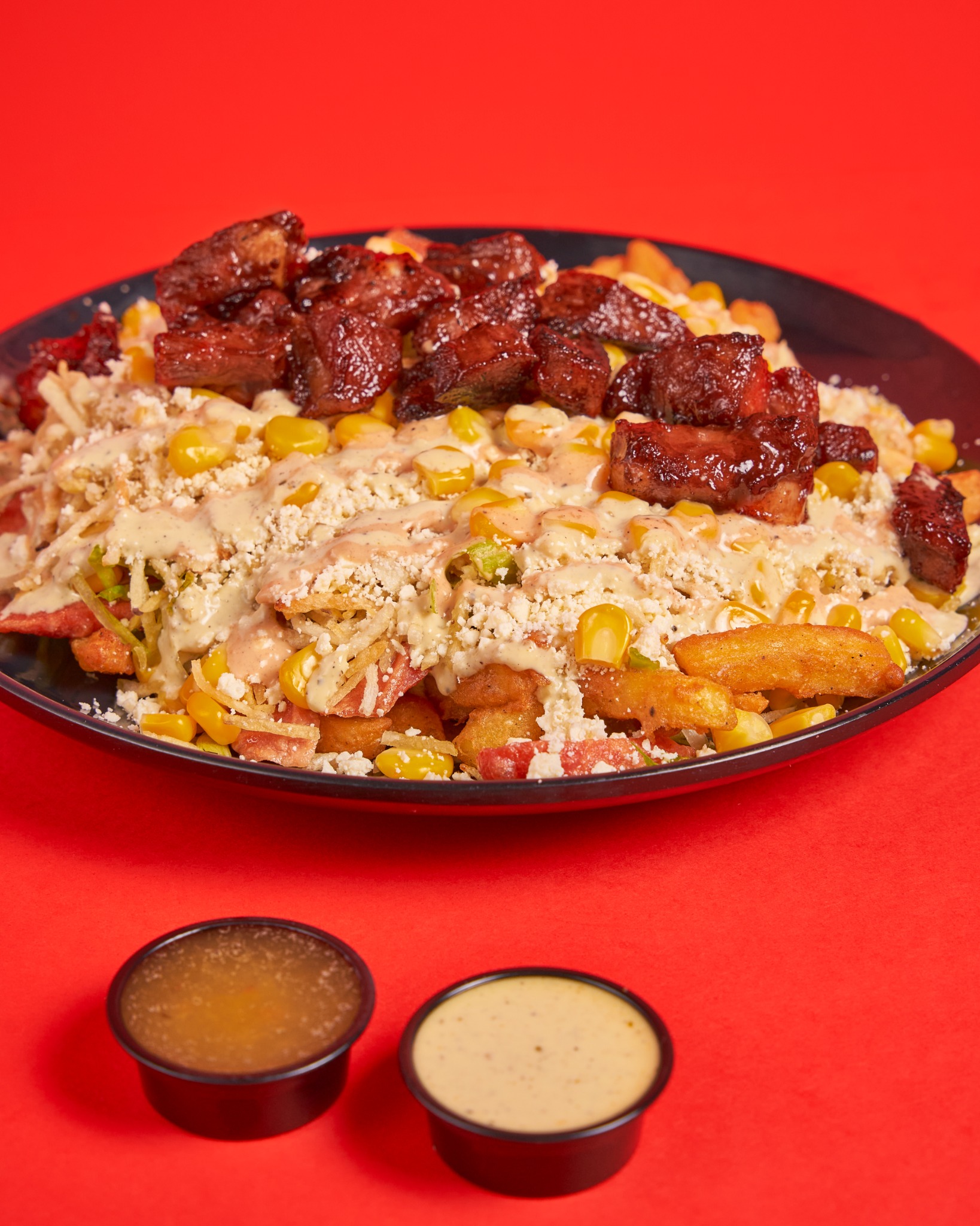 Salchiribs